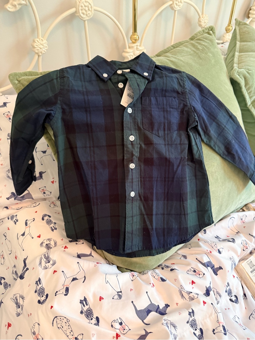 J. Crew Boys' Green & Navy Plaid Button-Down Shirt